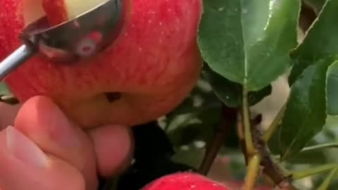 Fruits Video Farm Fresh Ninja Fruit Cutting Satisfying Fruit | Amazing Fruits Video #fruits #short