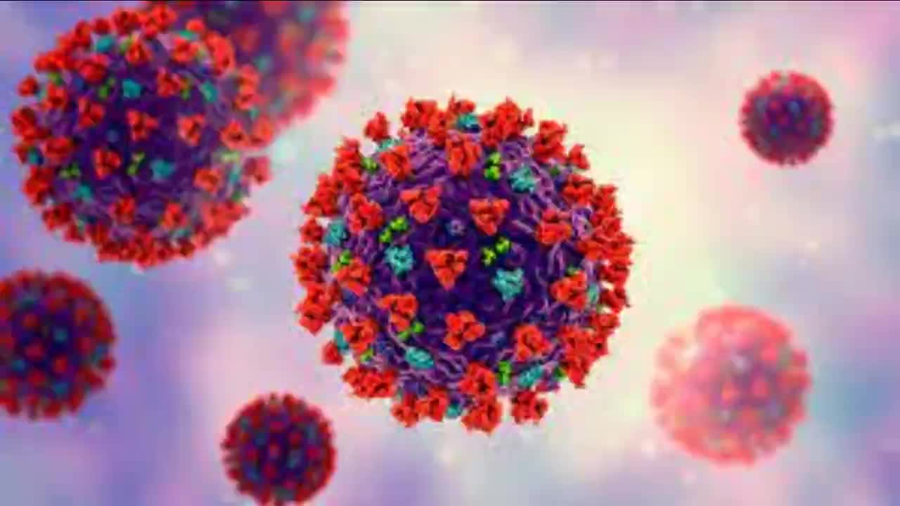 Coronavirus XE Variant is found and it's worst then ever.