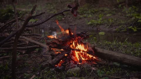 Relaxing Harp in nature at night with Campfire crackling#2