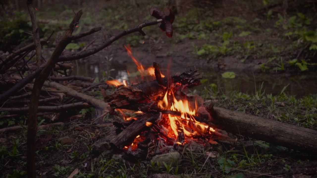 Relaxing Harp in nature at night with Campfire crackling#2
