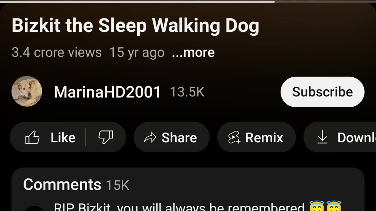 Sleep walking dog