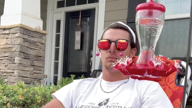 Hummingbird Feeds from Sunglasses