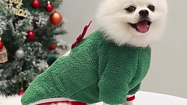 Winter Warm Christmas Dog Clothes Soft Pet Funny Dog Clothing For Cute Dogs Pajamas Fleece Pet Dogs