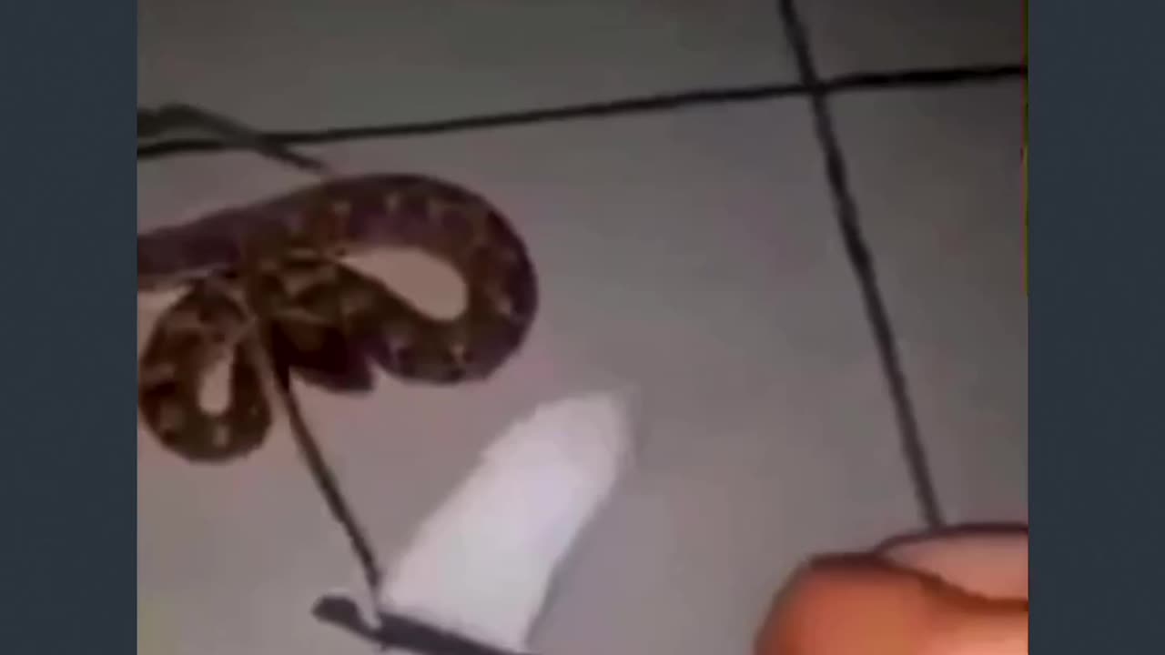 Viral