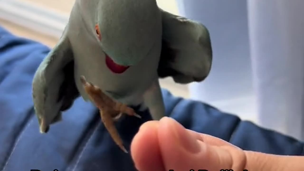 I gave rice and got kisses