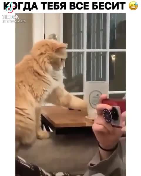 WHEN YOU HAVE EVERYTHING