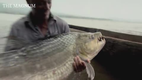 10 BIGGEST CATCHES OF ALL TIME