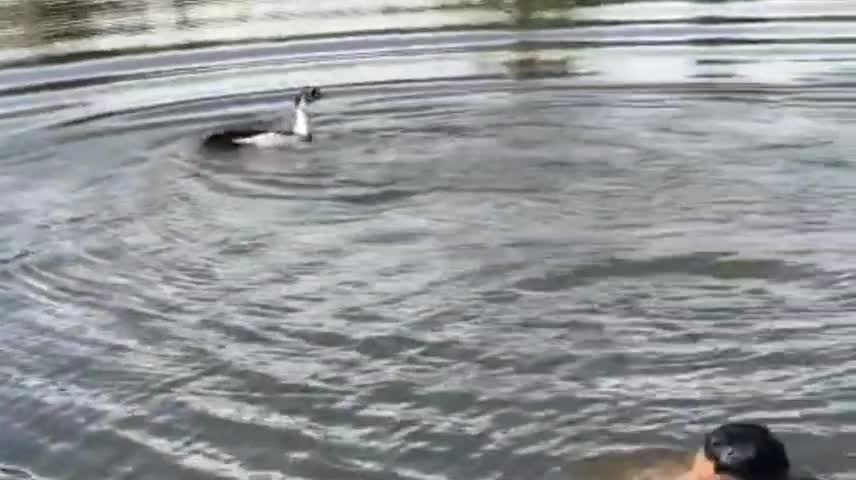 River bath