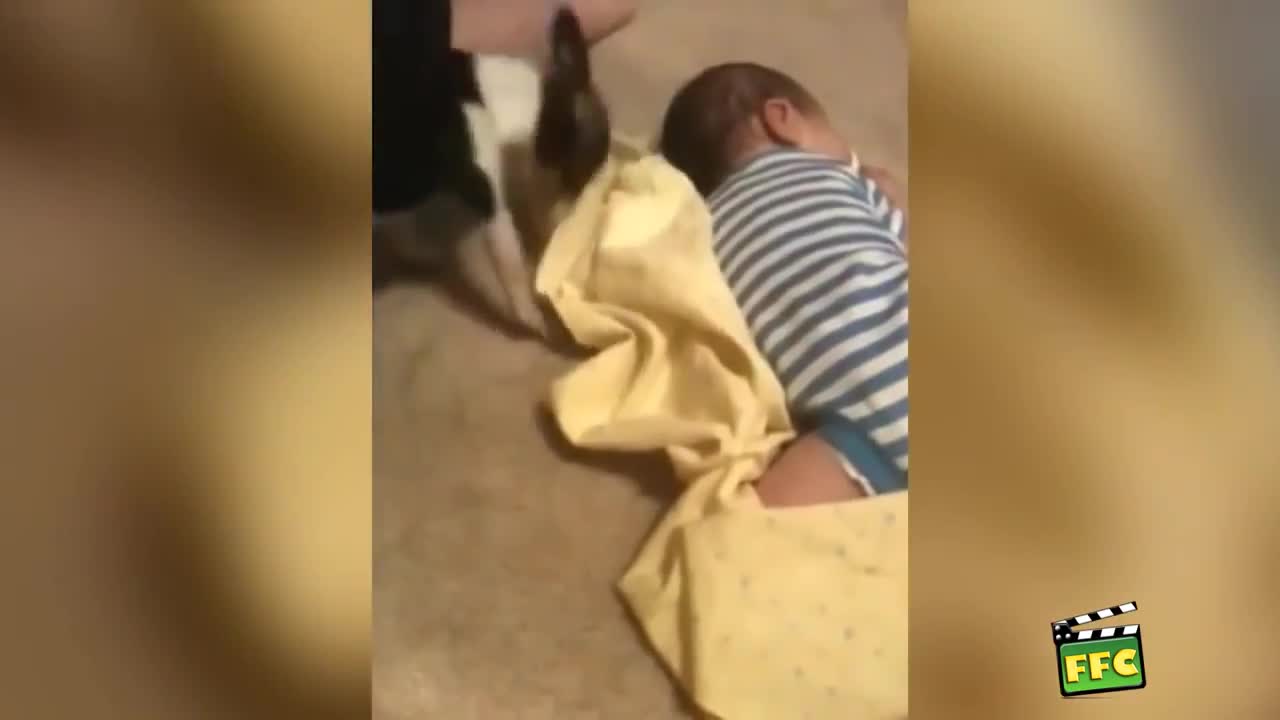 Cute Kids And Animal Friendships Compilation