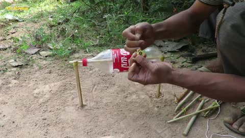 Experiment Wild Chicken Trap Using Coca Cola Bottle & Woods | Creative Wild Chicken Trap