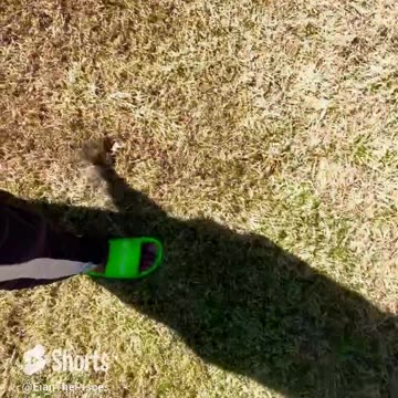 Shows Gods Confidence! #fyp #shorts