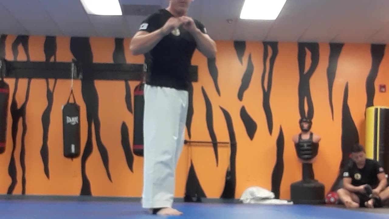 Tong Hap Kwan Hapkido Kicking Techniques