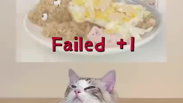 Behind every succesful cat , There is always a significant other.