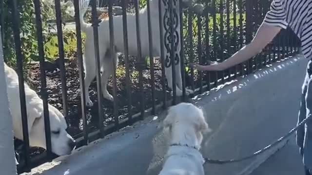 Their little friendship 🥺🎾