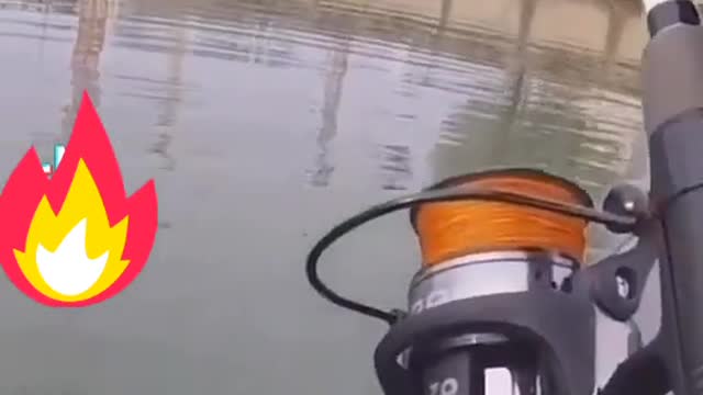 #рыб #улов #рыбалка #Fishing
