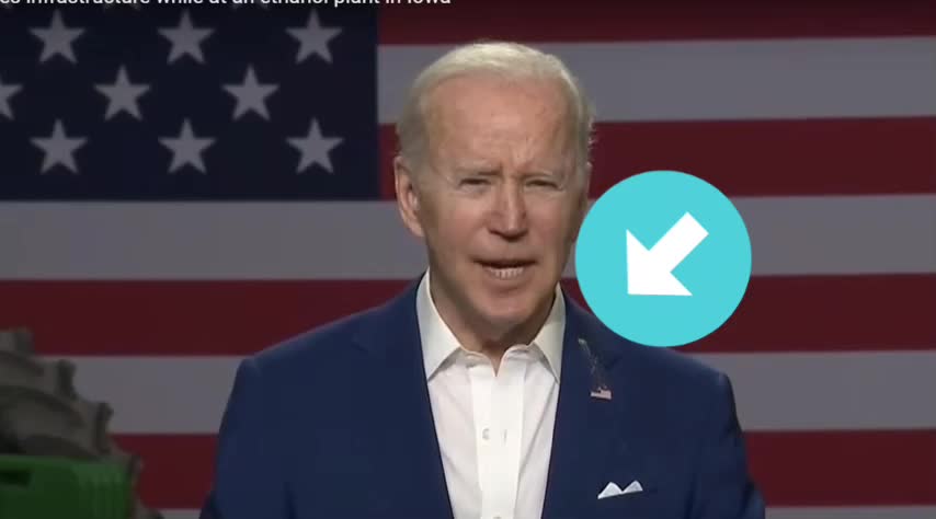 A brave bird shit on creepy Joe, my enemy