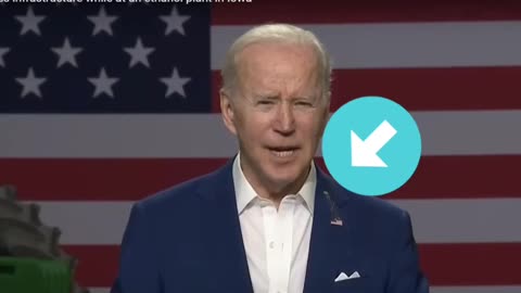 A brave bird shit on creepy Joe, my enemy