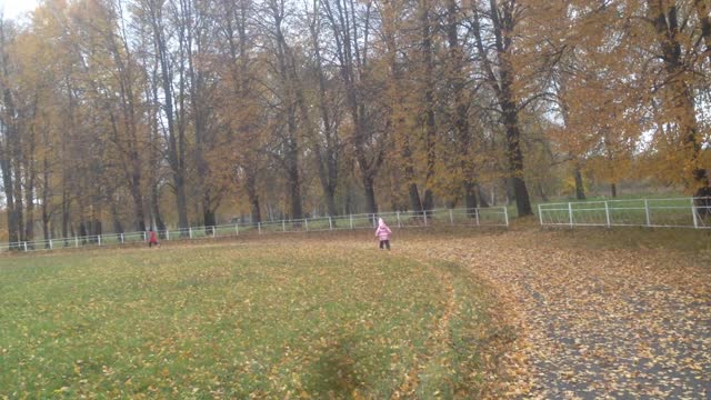 autumn in the village