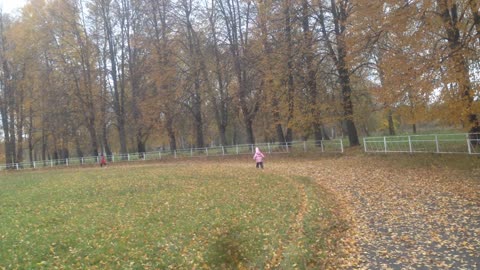 autumn in the village