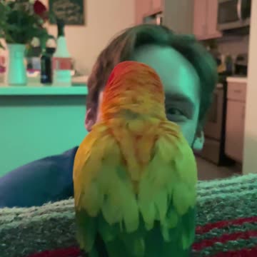 “Don’t hype up the bird.”