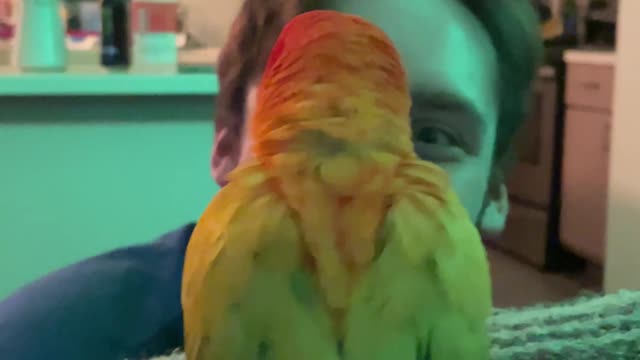 “Don’t hype up the bird.”