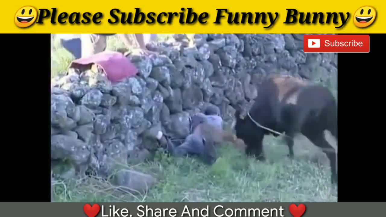 😂 🤣 Best funny videos 2021 😂🤣