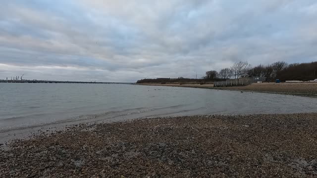 Shore next to a river