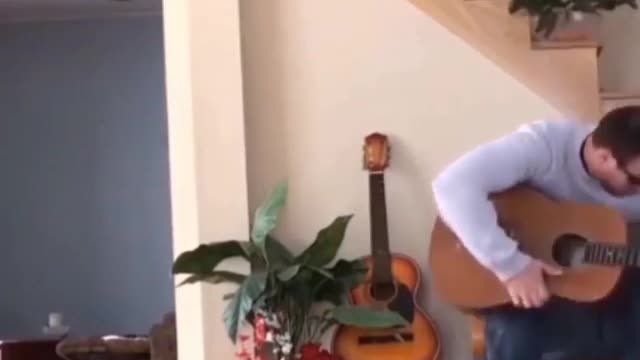 Funny and Cute Cats Videos #6 │Gadis Sekarwangi