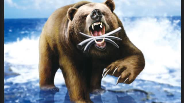 The Bear With Three Ribs in it's Mouth is Arising Now!