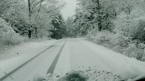 My Best Vid Yet. THE Beautiful Saratoga National Battlefield/Historical Park With Deer