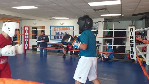 Joey boxing Jake