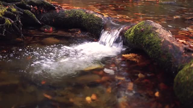 Listen to the sound of the water and heal yourself.