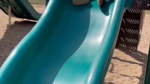 My Adorable Granddaughter Enjoying A Slide