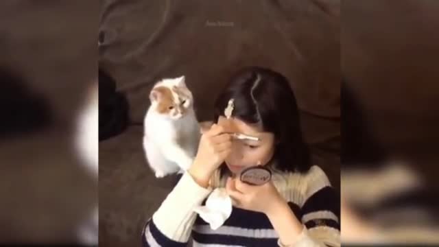 Cute Baby Pet Cat funny reaction videos