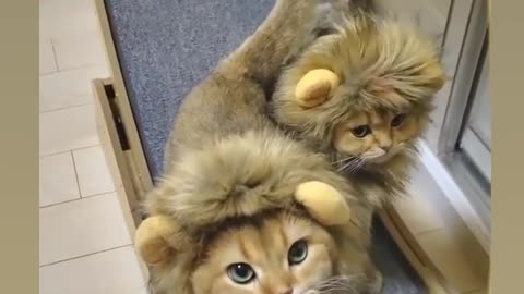 Viral Lion Costume