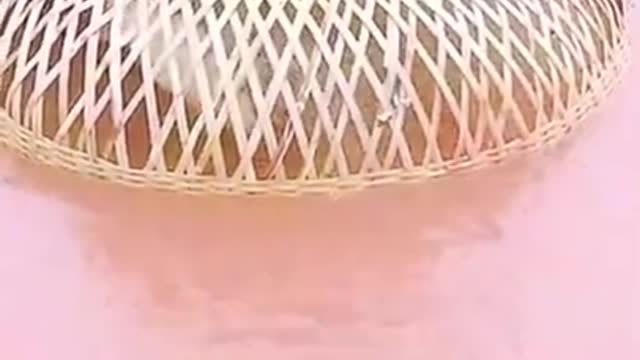 Amazing_Rural_Technique_Catch_Fish_🐟_Amazing_Fishing_Video_🔴_rural_video_fishing__