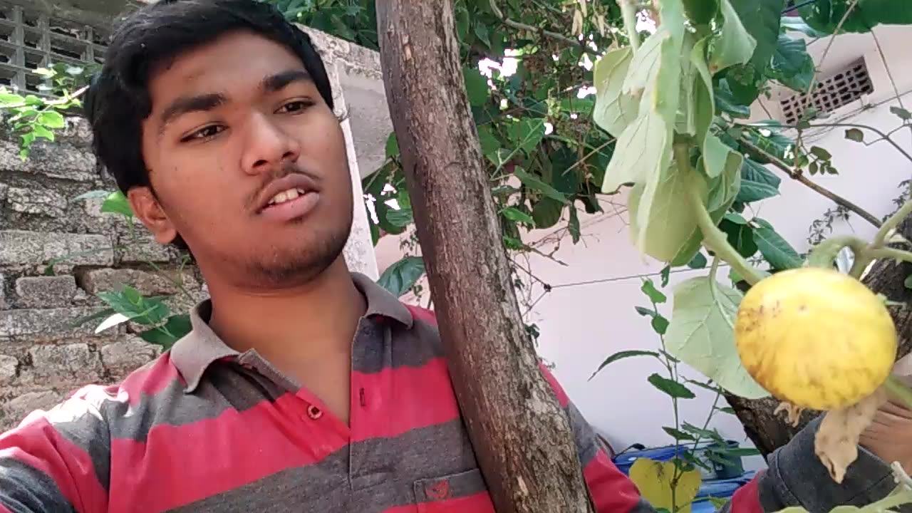 Garden sudarshan