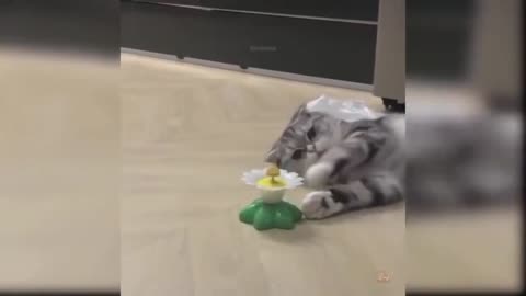 Cat and Flying Butterfly Toy