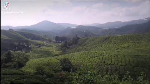My First Journey