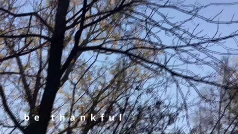 Thanksgiving Program Video