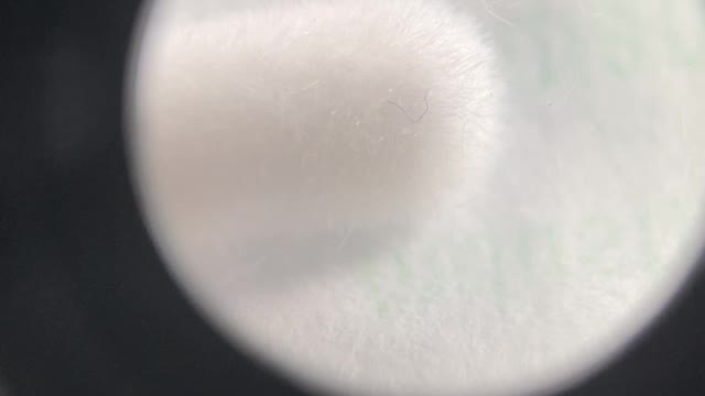 Nasal Bud Nano Worm Confirmation Test 1 - Dry Heat, No Moisture (Fail)