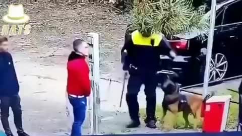 That’s a good boy, Instinct vs training