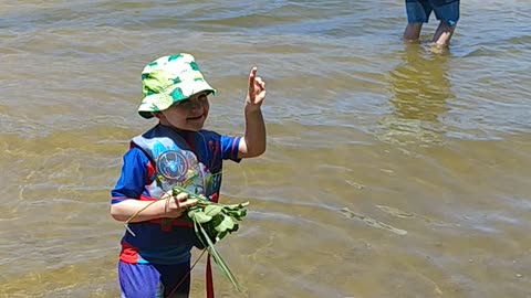 Hearing Henry in the water