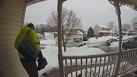 Barking down the fall funny video