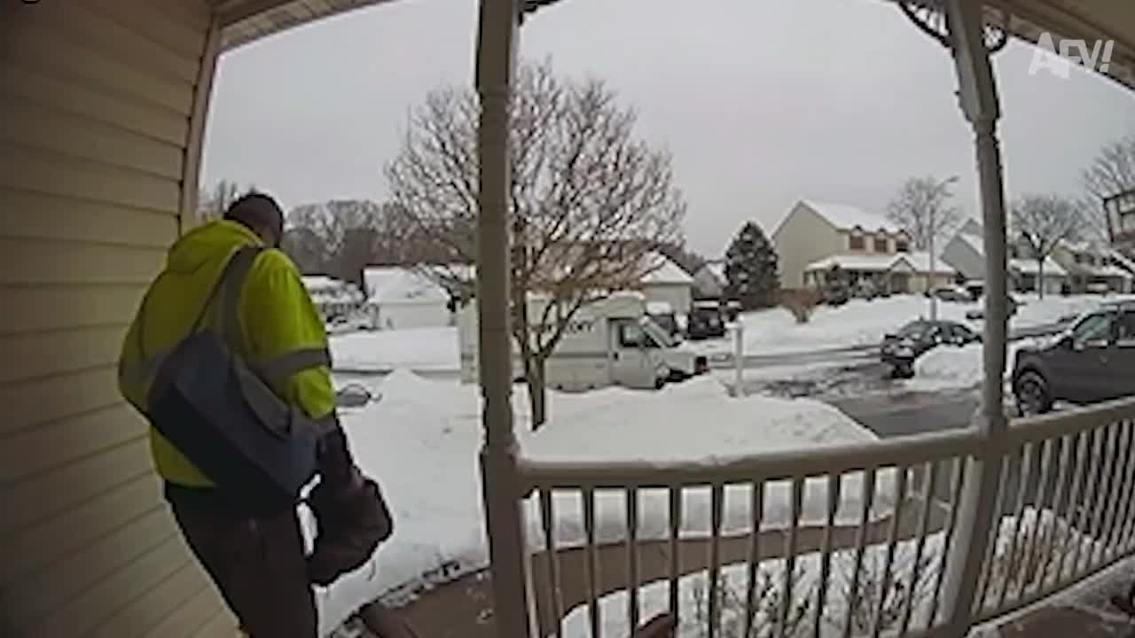Barking down the fall funny video