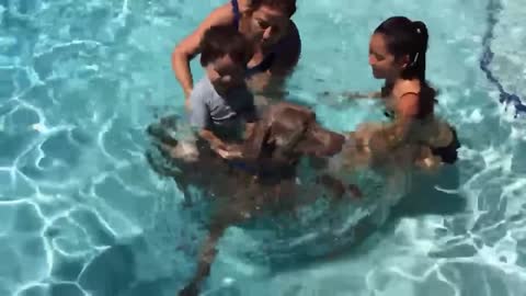 Dog And Baby Take A Swim Very Funny Time | Funny Baby