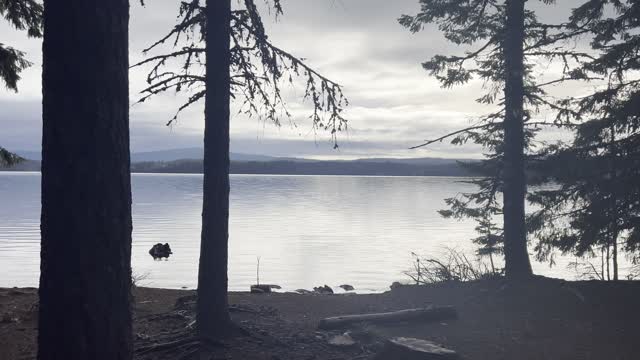 Leaving "The Cove" Area Early in the AM – Timothy Lake – Mount Hood – Oregon – 4K