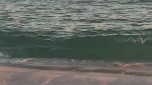 Somewhere on a beach.