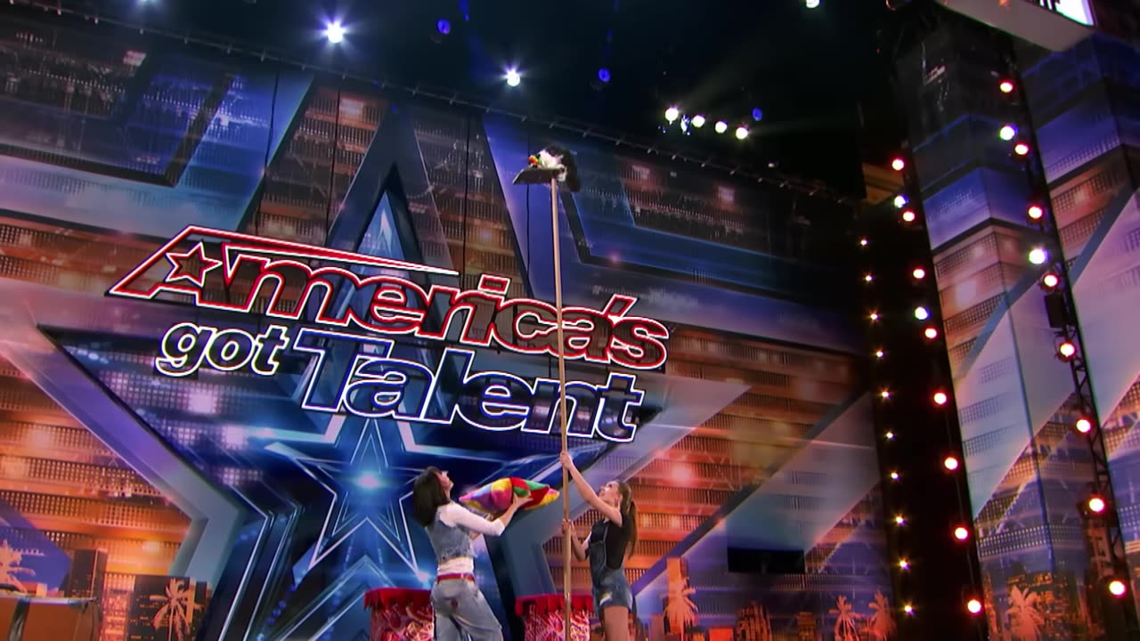 The Savitsky Cats_ Super Trained Cats Perform Exciting Routine - America s Got Talent 2018