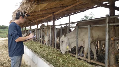 Asian Farmer working in farm, Recording the date of farm production